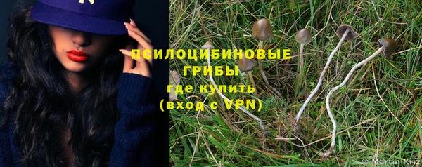 ГАЛЛЮЦИНОГЕННЫЕ ГРИБЫ Горно-Алтайск