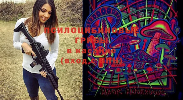 мескалин Новозыбков
